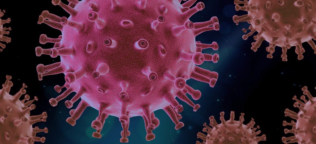 virus-4937553_1280